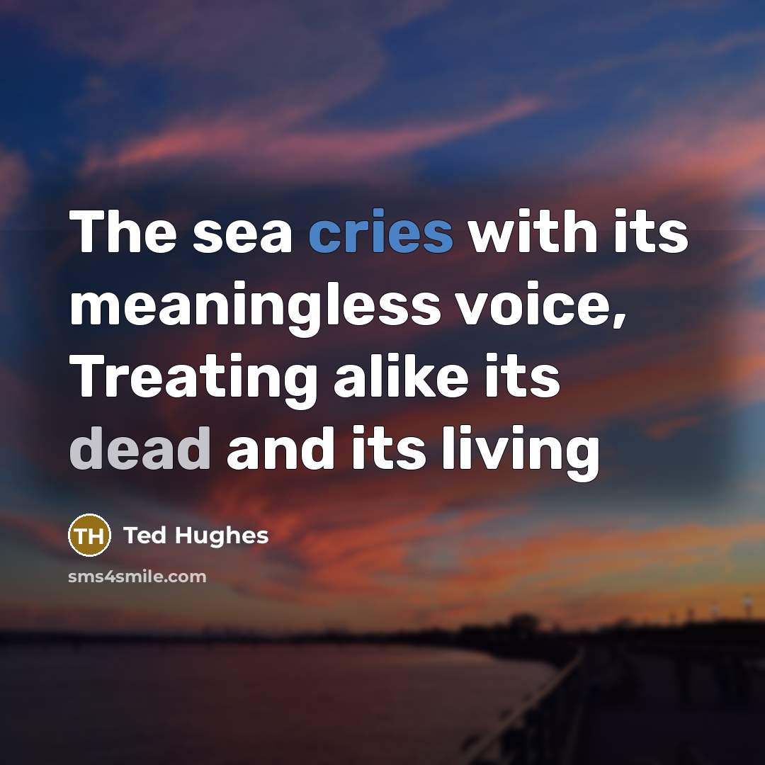 “The sea cries with its meaningless voice, Treating alike its dead and its living” quote by Ted Hughes