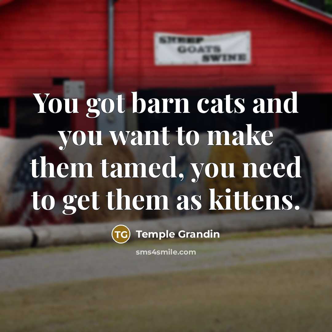 “You got barn cats and you want to make them…” quote by Temple Grandin