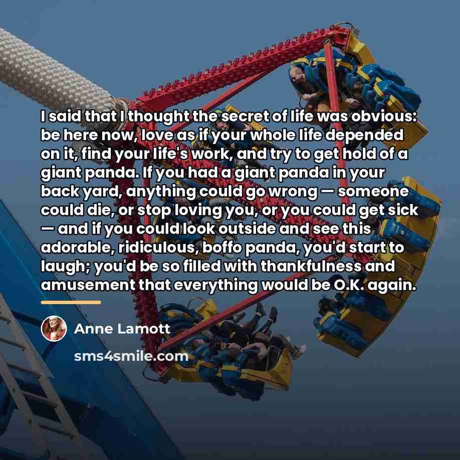 “I said that I thought the secret of life was…” quote by Anne Lamott
