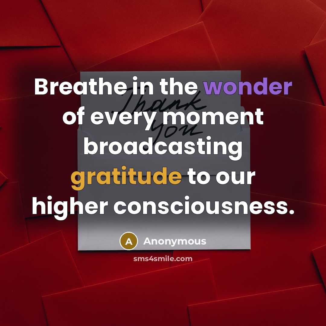 “Breathe in the wonder of every moment broadcasting gratitude to…” quote by Anonymous