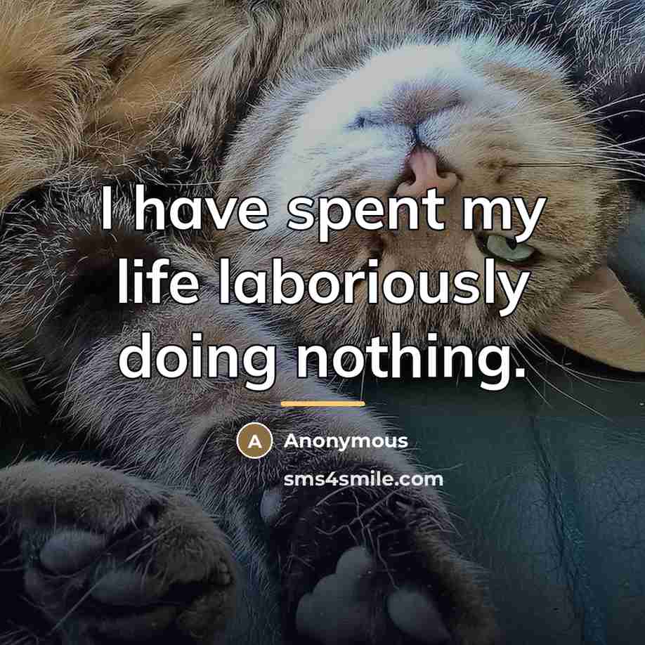“I have spent my life laboriously doing nothing.…” quote by Grotius Hugo