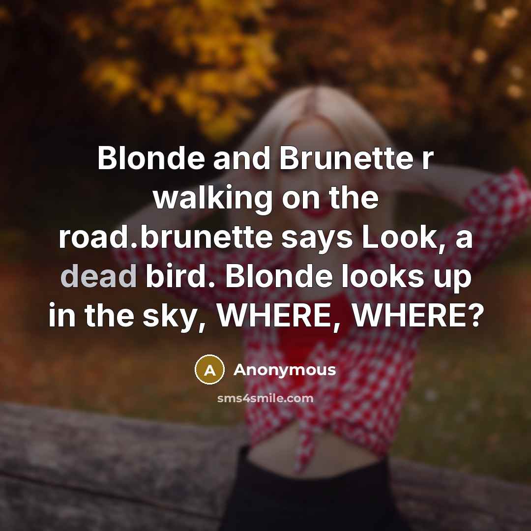 “Blonde and Brunette r walking on the road.brunette says Look,…” quote by Anonymous