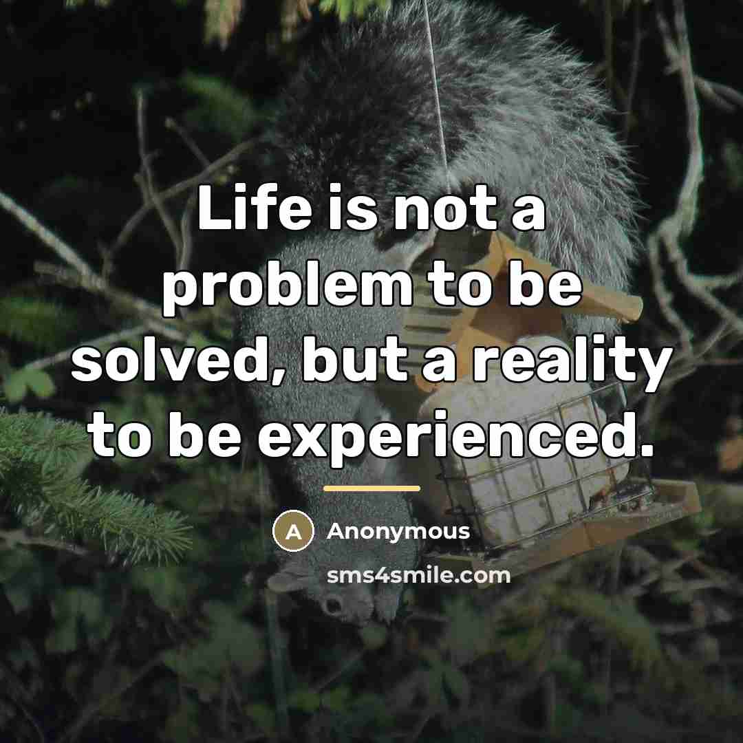 “Life is not a problem to be solved, but a…” quote by Anonymous