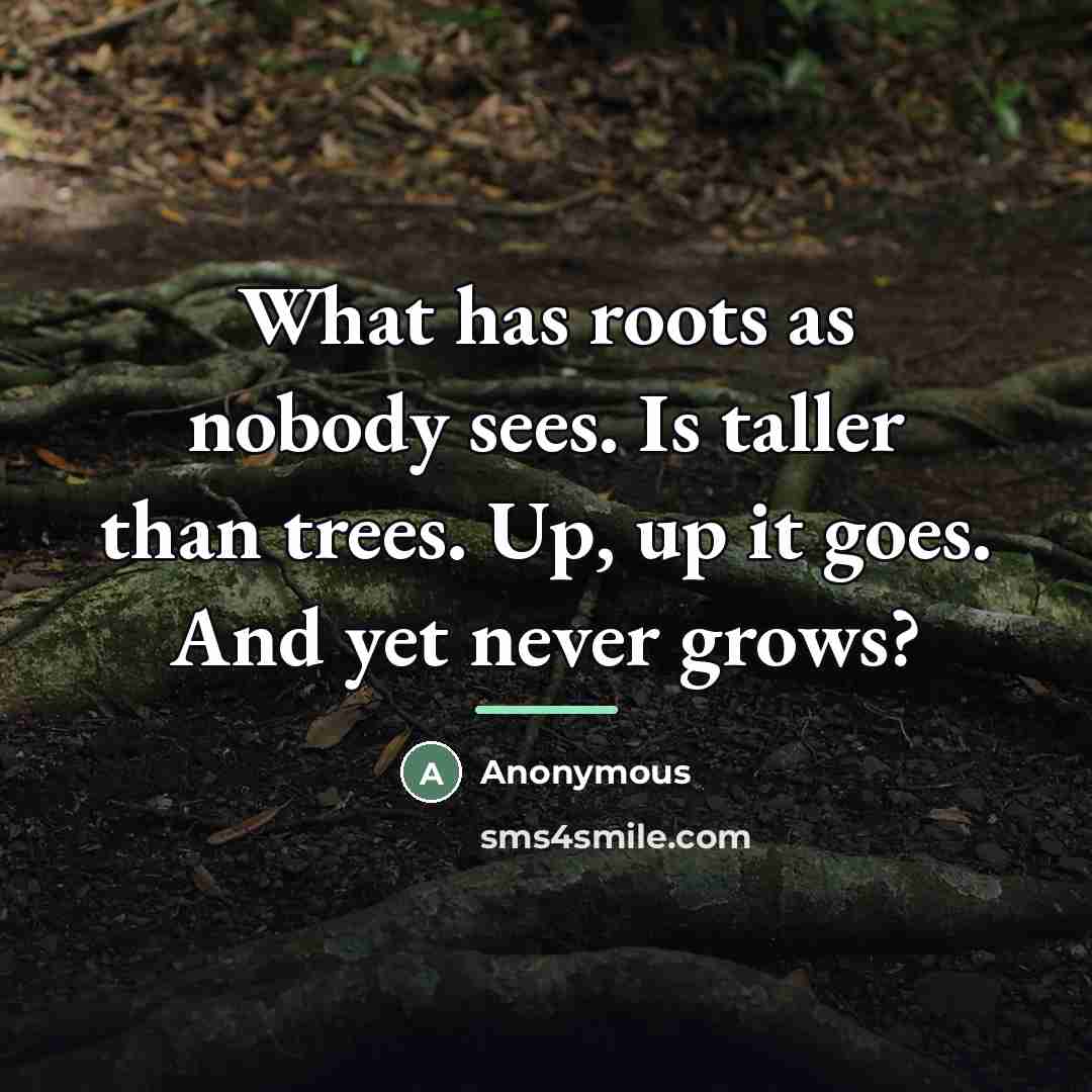 “What has roots as nobody sees. Is taller than trees.…” quote by Anonymous