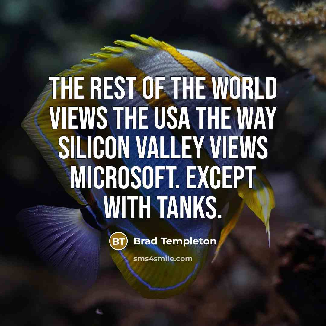 “The rest of the world views the USA the way…” quote by Brad Templeton