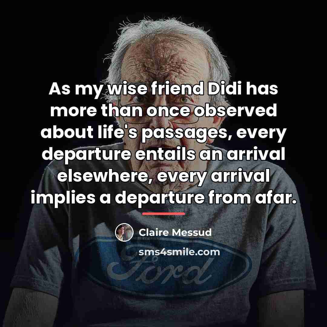 “As my wise friend Didi has more than once observed…” quote by Claire Messud