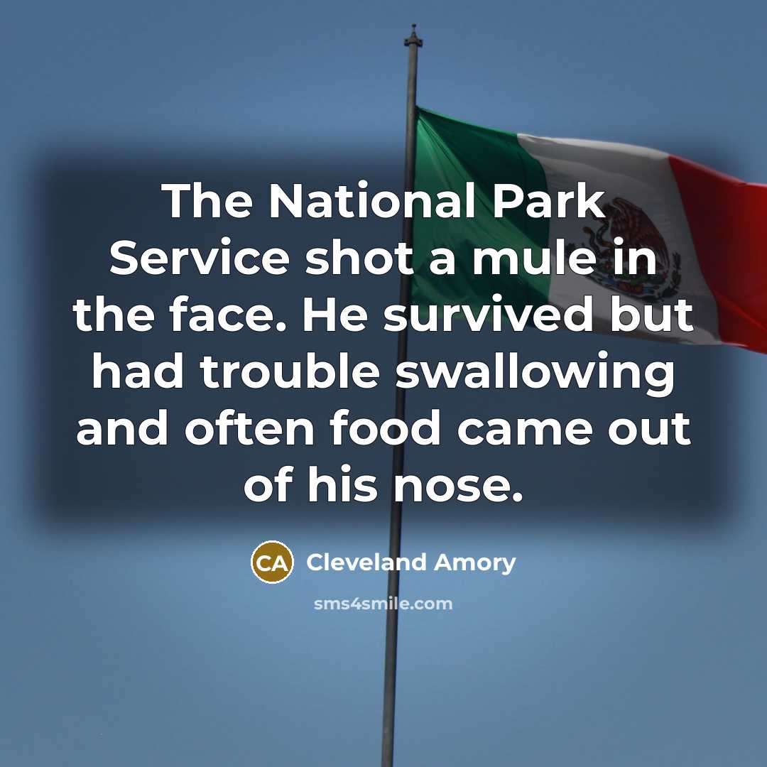 “The National Park Service shot a mule in the face.…” quote by Cleveland Amory