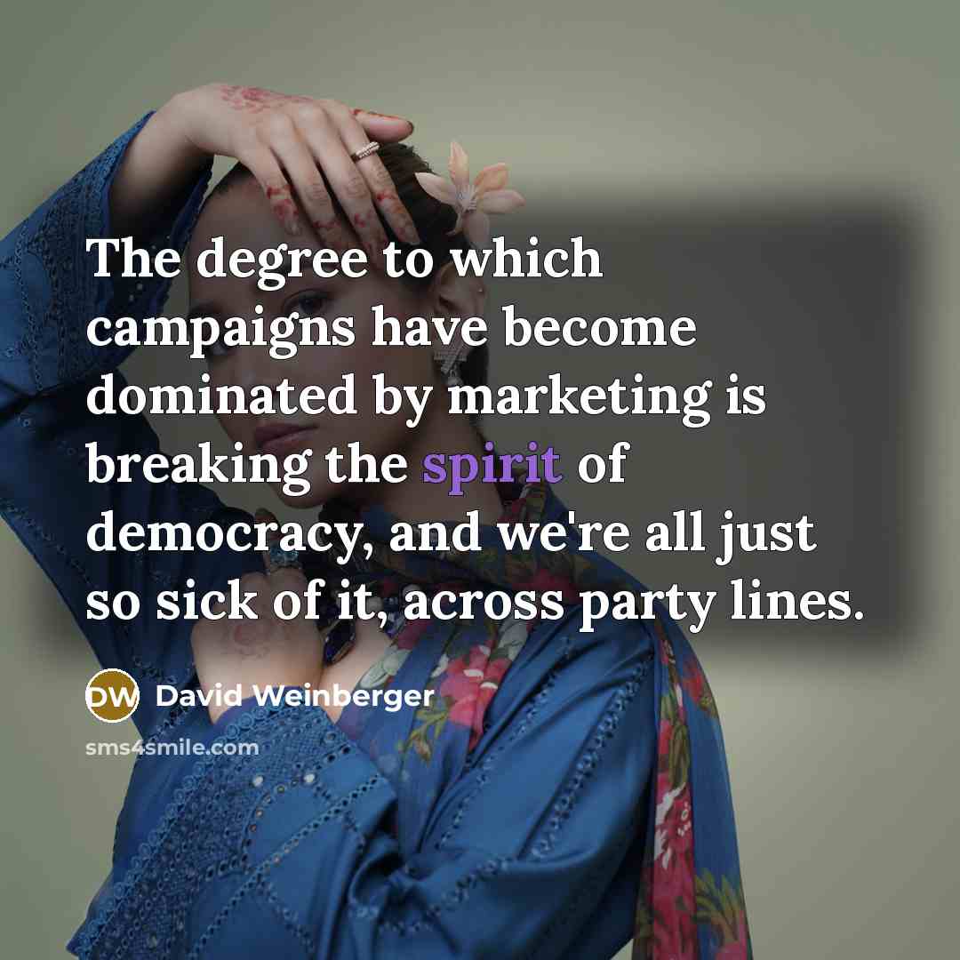 “The degree to which campaigns have become dominated by marketing…” quote by David Weinberger