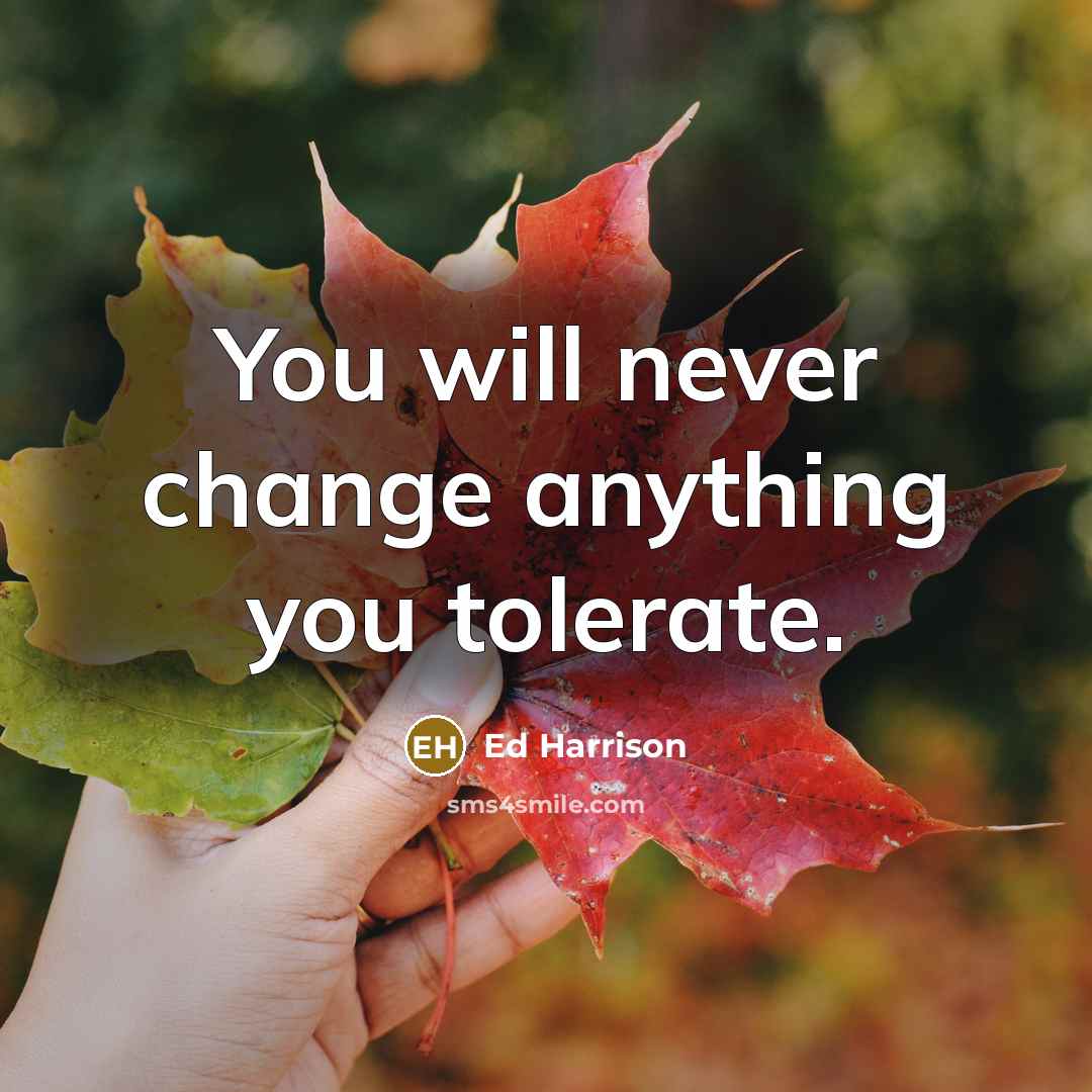 “You will never change anything you tolerate.” quote by Ed Harrison