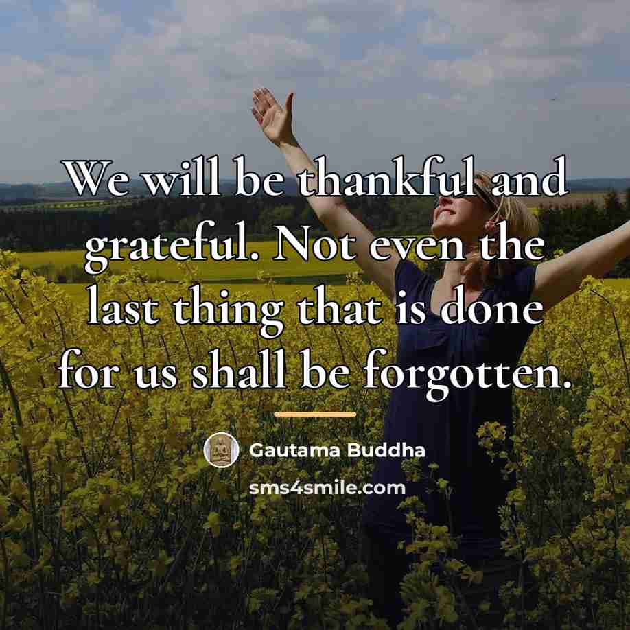 “We will be thankful and grateful. Not even the last…” quote by Gautama Buddha