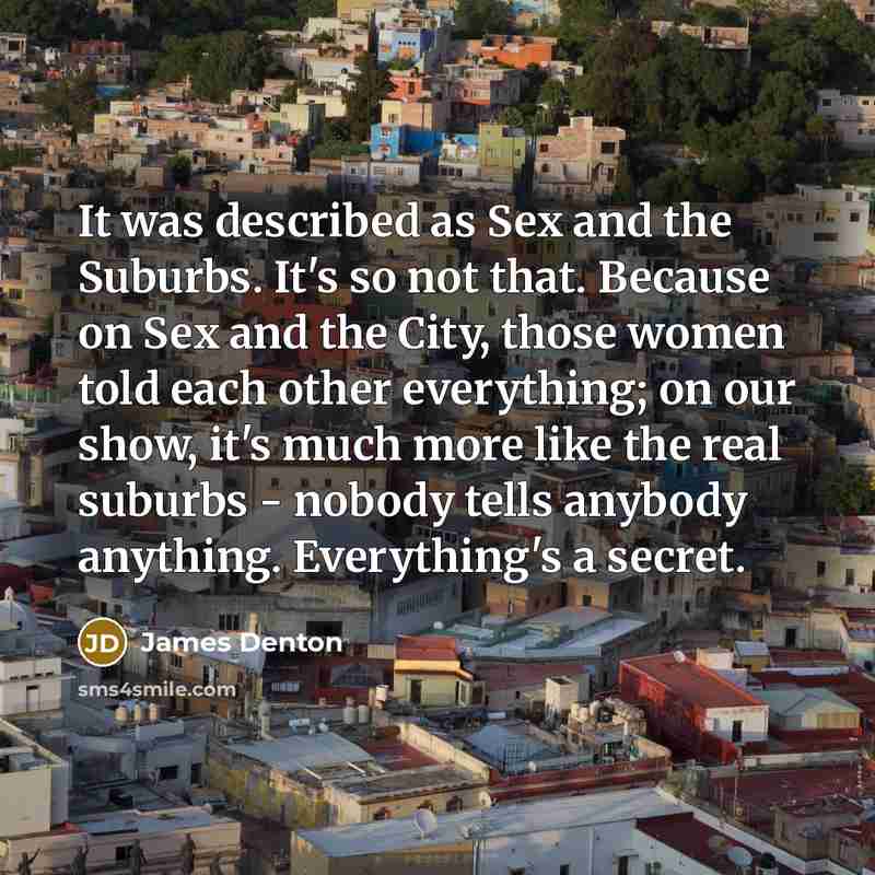 “It was described as Sex and the Suburbs. It's so…” quote by James Denton