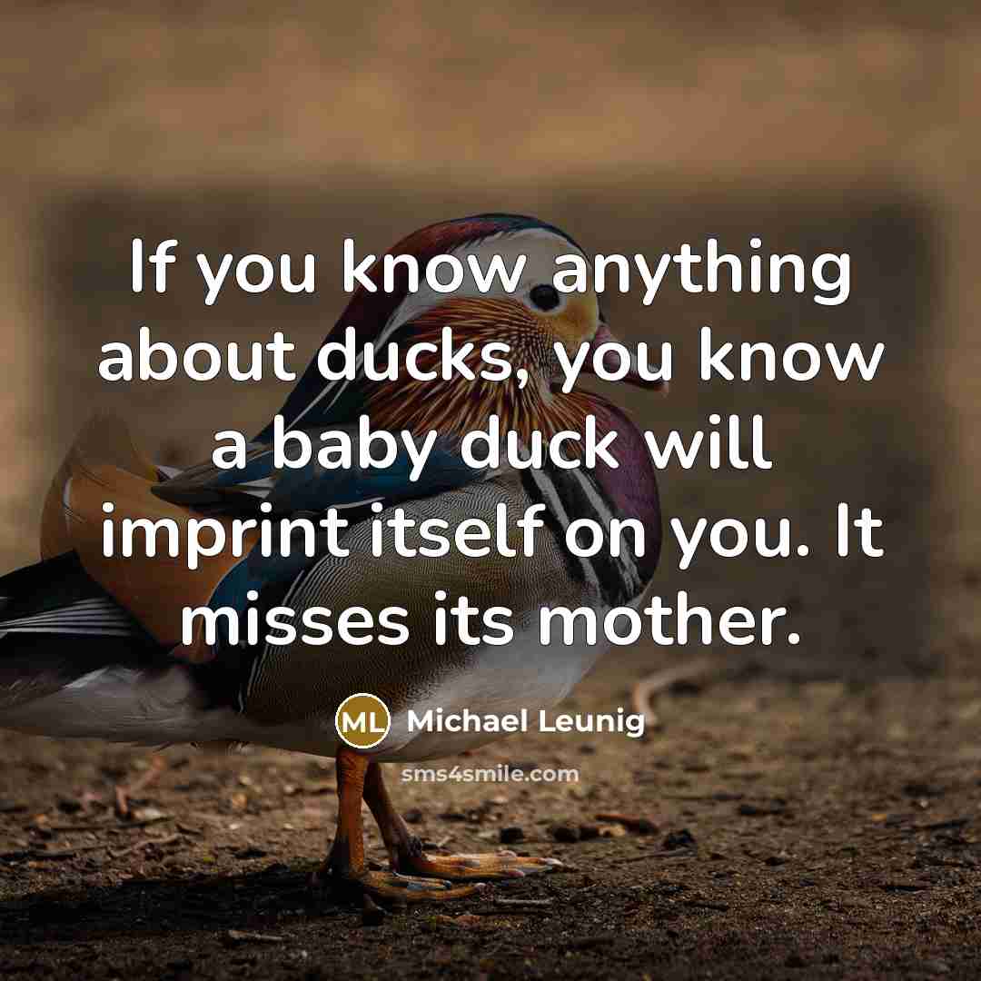 “If you know anything about ducks, you know a baby…” quote by Michael Leunig
