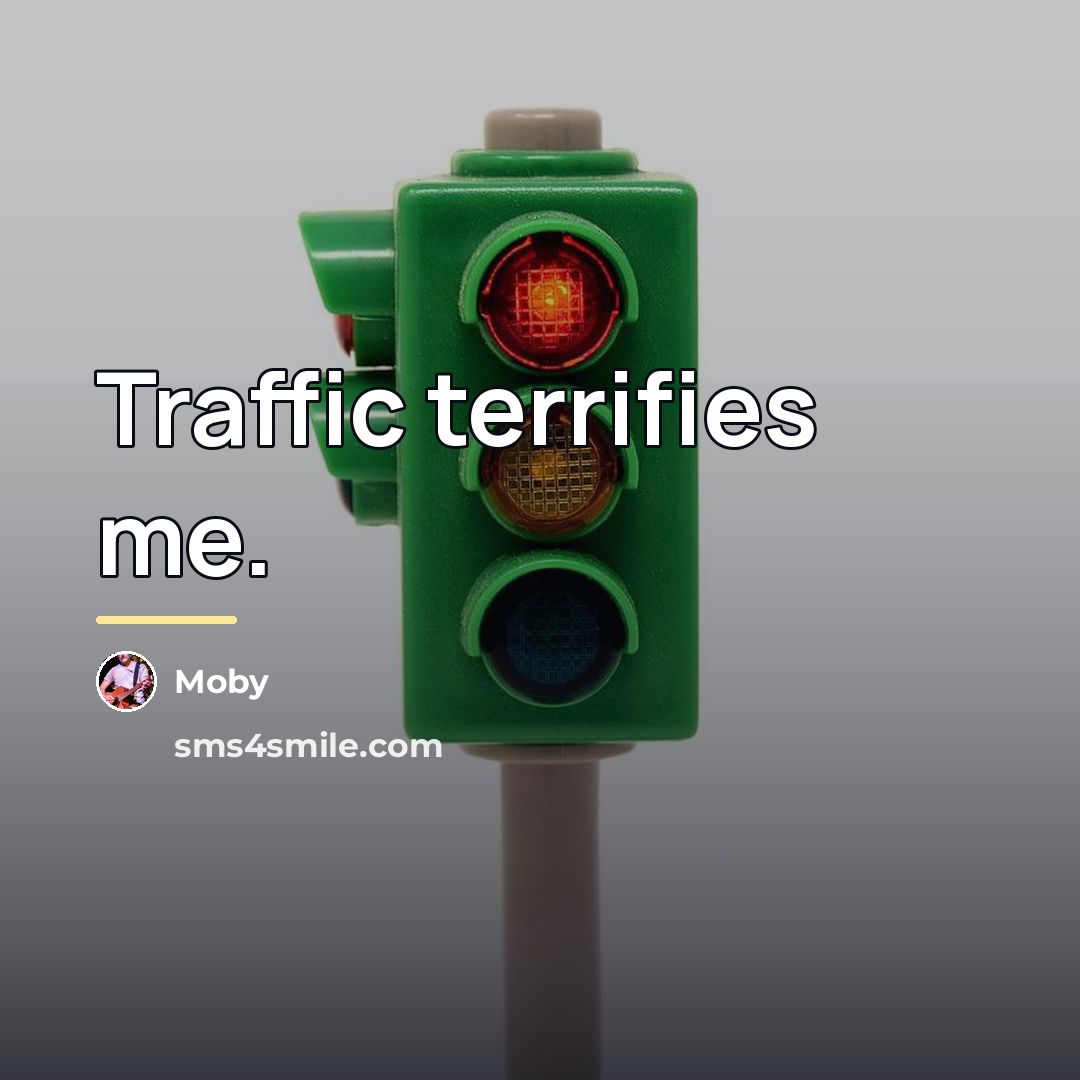 “Traffic terrifies me.…” quote by Moby