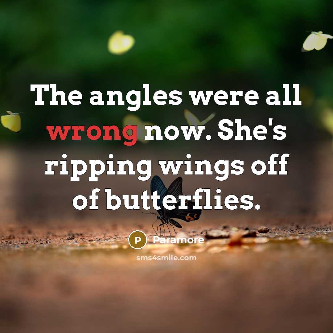 “The angles were all wrong now. She's ripping wings off of butterflies.” quote by Paramore