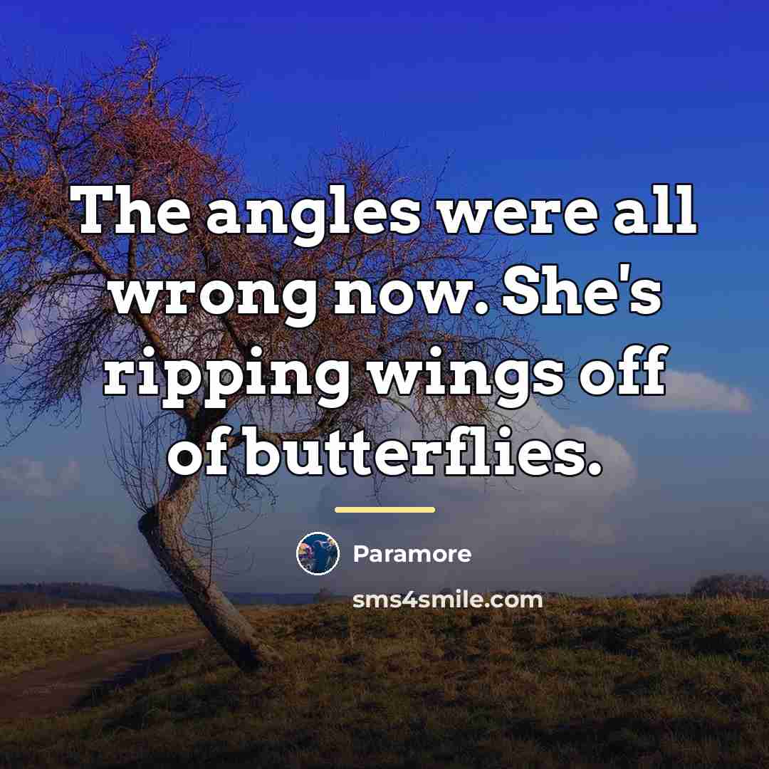 “The angles were all wrong now. She's ripping wings off…” quote by Paramore