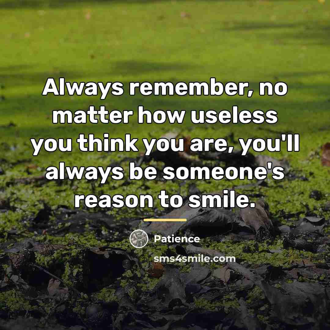 “Always remember, no matter how useless you think you are,…” quote by Patience