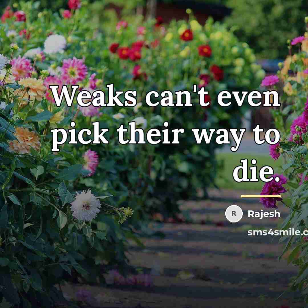“Weaks can't even pick their way to die.…” quote by Rajesh