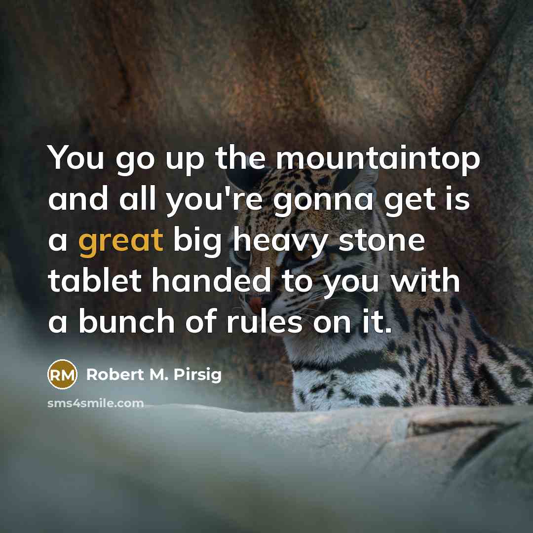 “You go up the mountaintop and all you're gonna get…” quote by Robert M. Pirsig