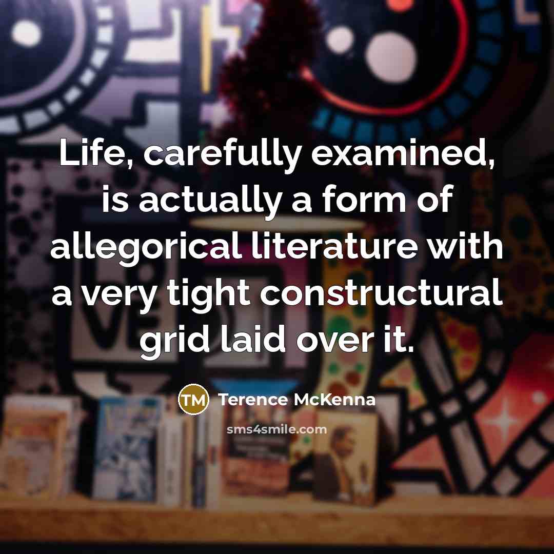 “Life, carefully examined, is actually a form of allegorical literature…” quote by Terence McKenna