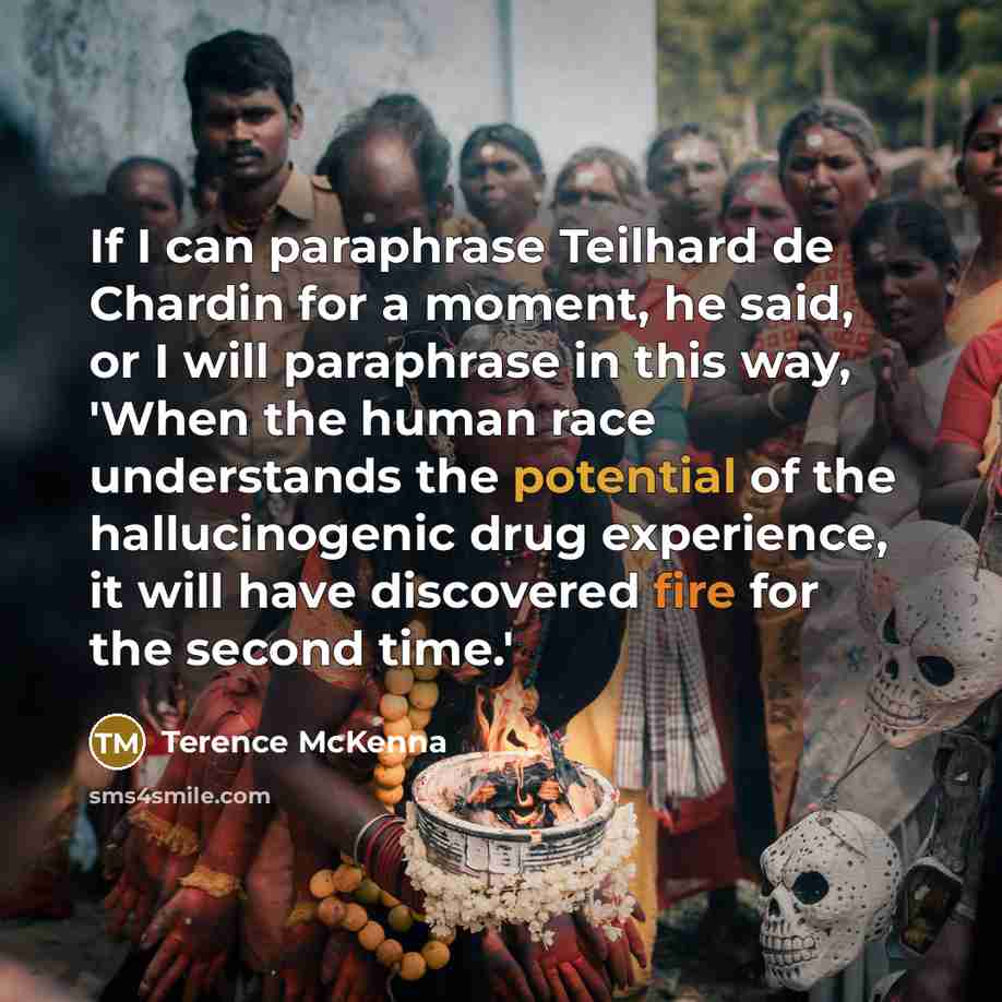 “If I can paraphrase Teilhard de Chardin for a moment,…” quote by Terence McKenna