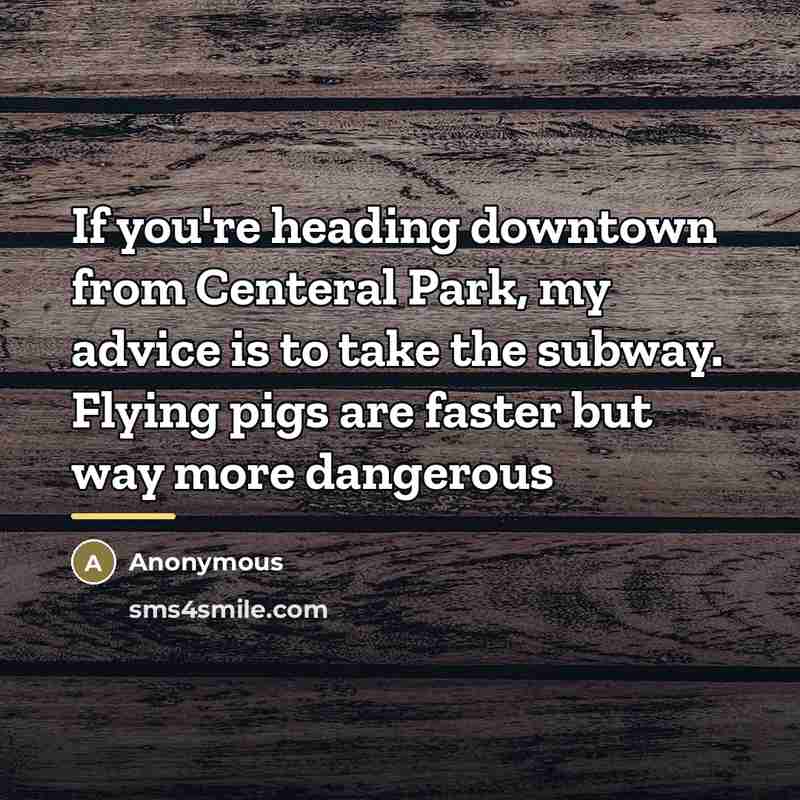 “If you're heading downtown from Centeral Park, my advice is…” quote by Anonymous