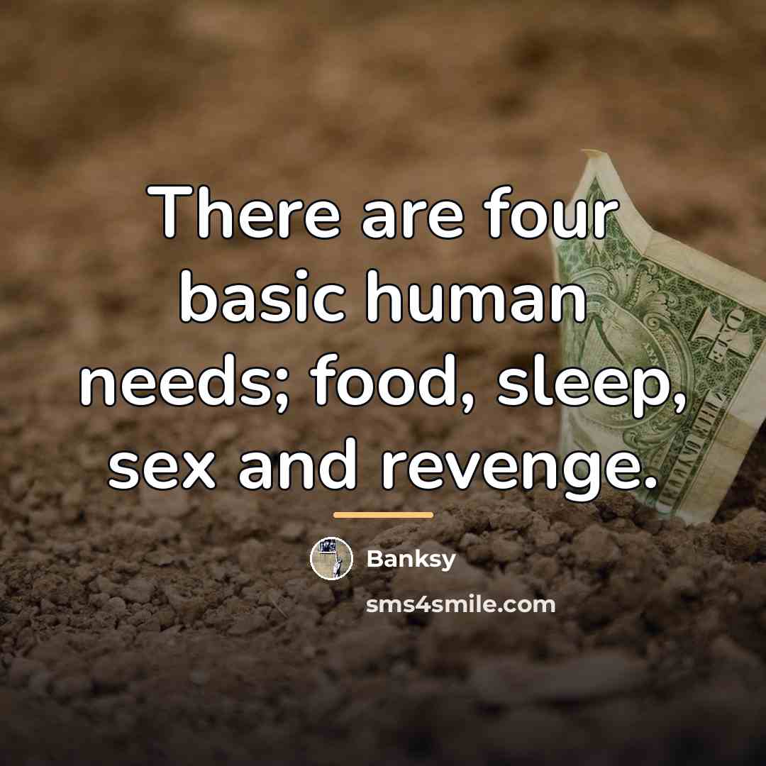 “There are four basic human needs; food, sleep, sex and…” quote by Banksy