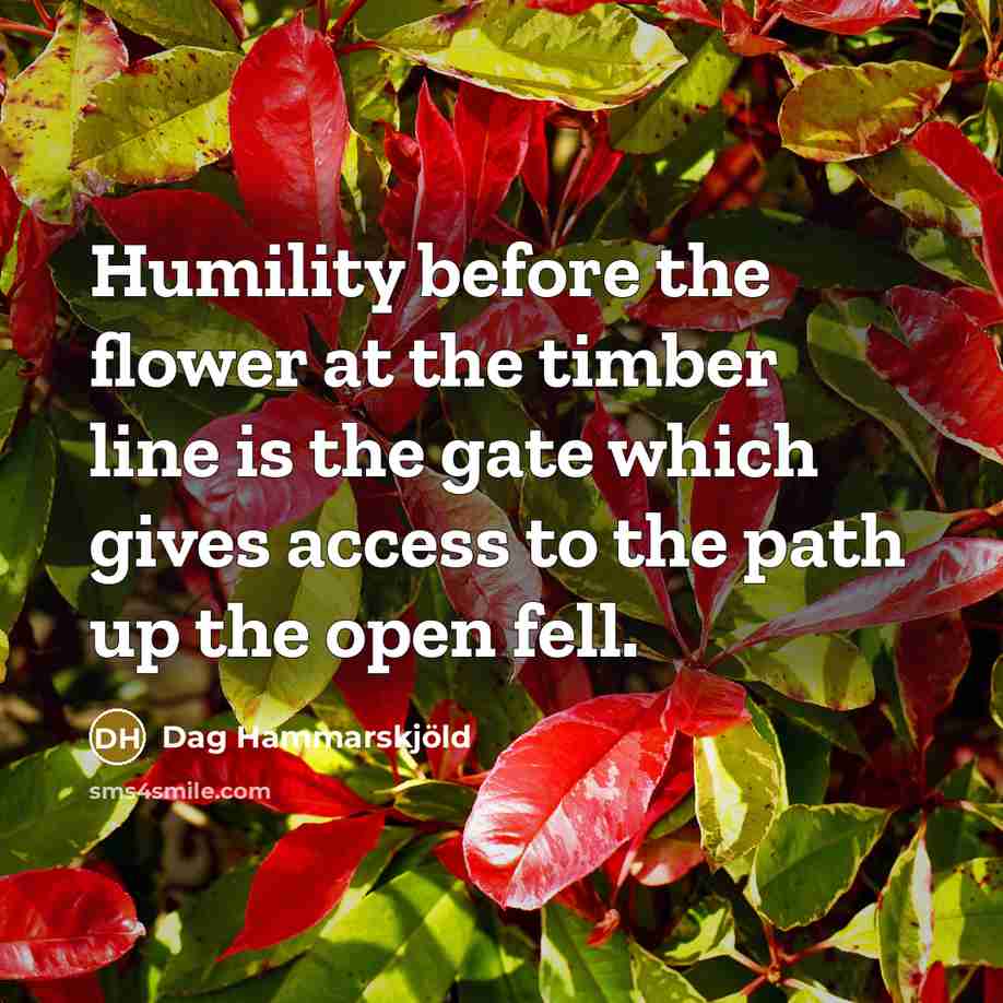“Humility before the flower at the timber line is the…” quote by Dag Hammarskjold