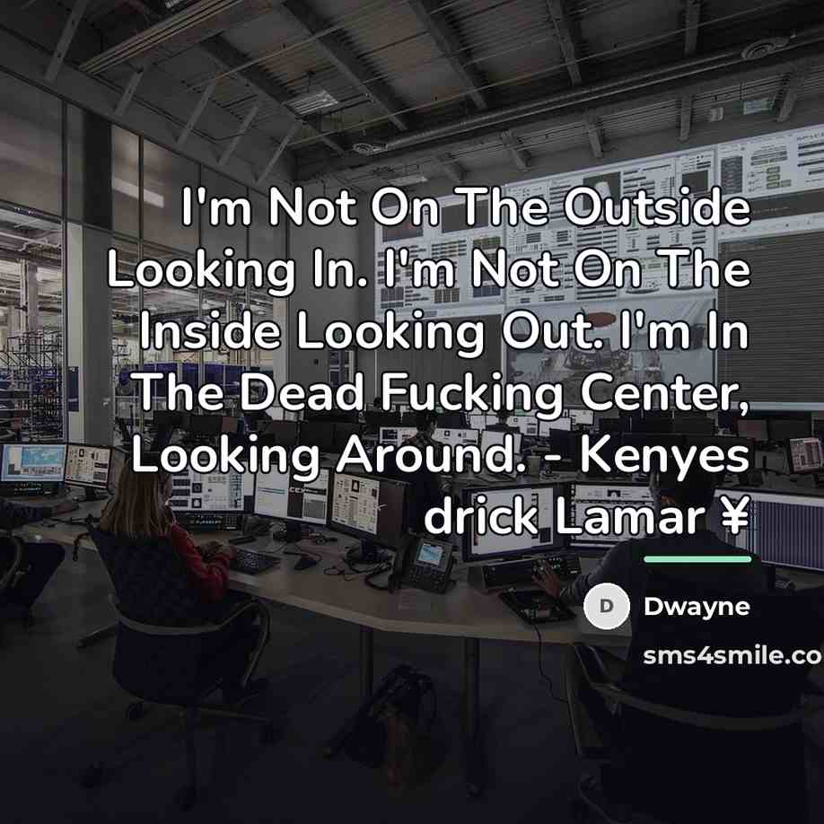 “I'm Not On The Outside Looking In. I'm Not On…” quote by Dwayne