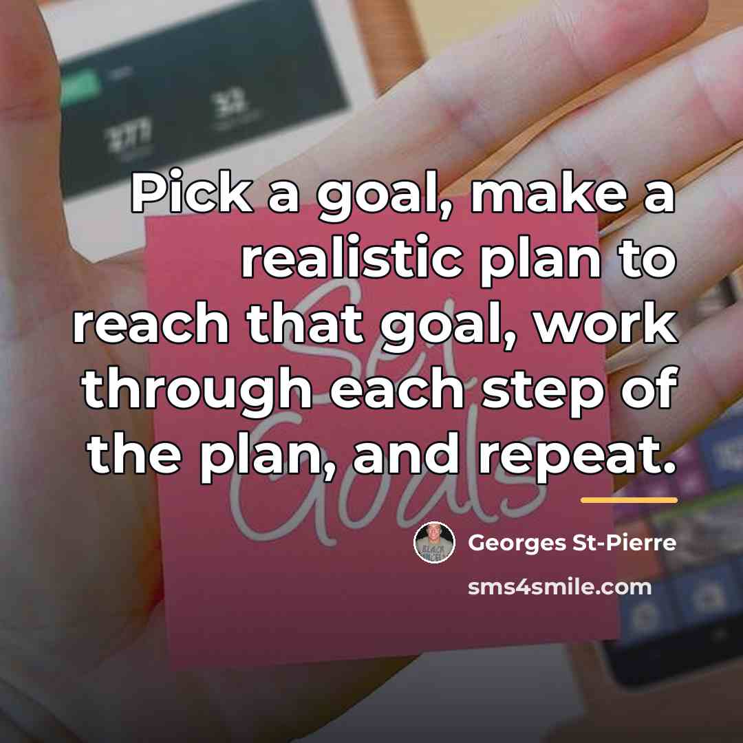 “Pick a goal, make a realistic plan to reach that…” quote by Georges St-Pierre
