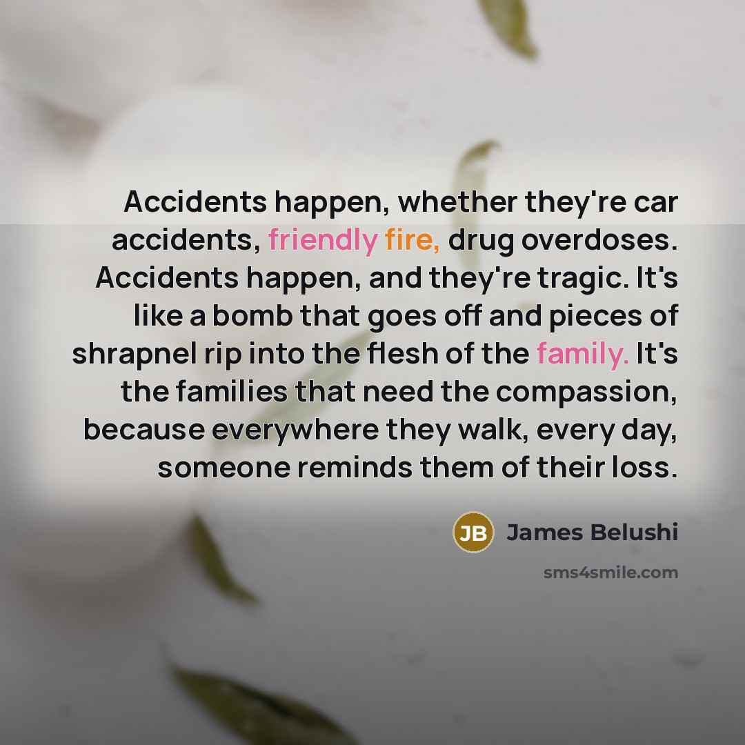 “Accidents happen, whether they're car accidents, friendly fire, drug overdoses.…” quote by James Belushi