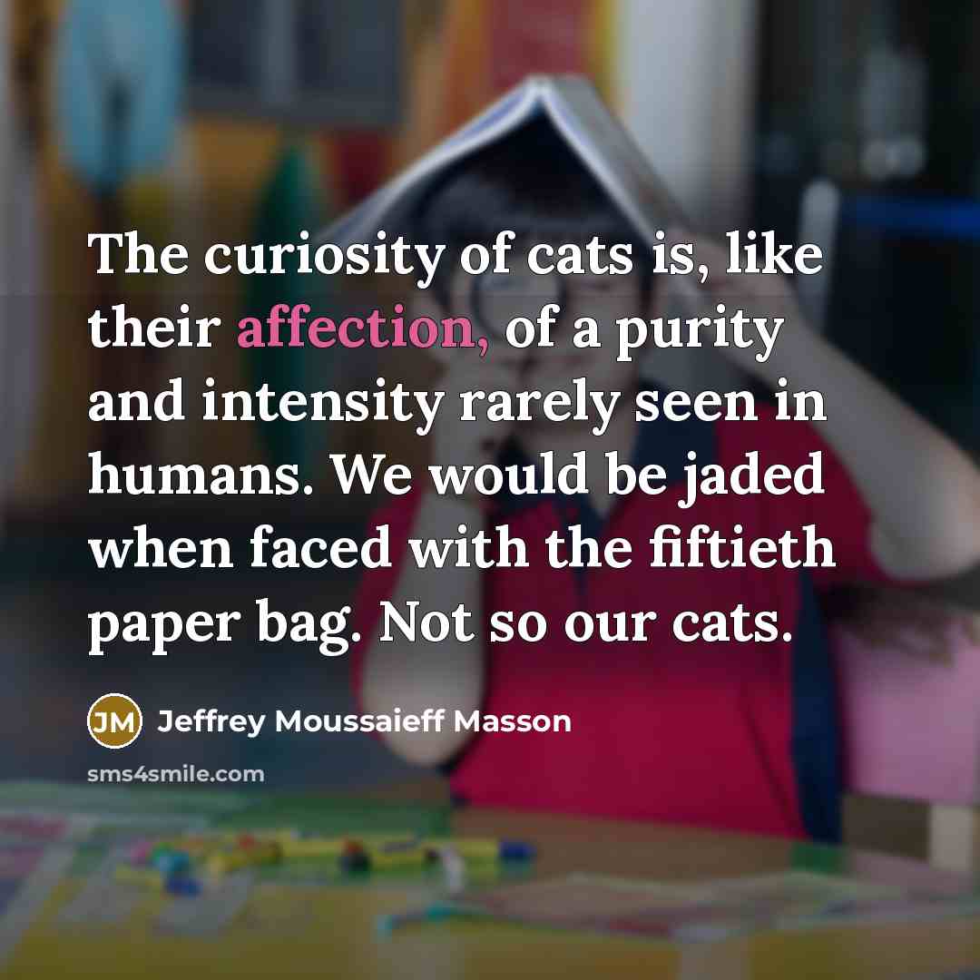 “The curiosity of cats is, like their affection, of a…” quote by Jeffrey Moussaieff Masson