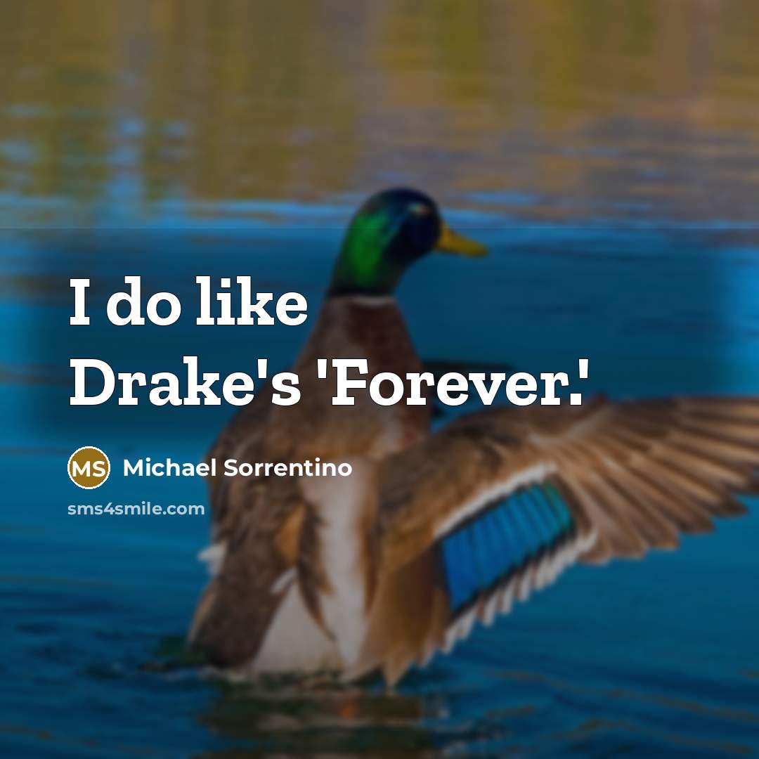 “I do like Drake's 'Forever.'…” quote by Michael Sorrentino