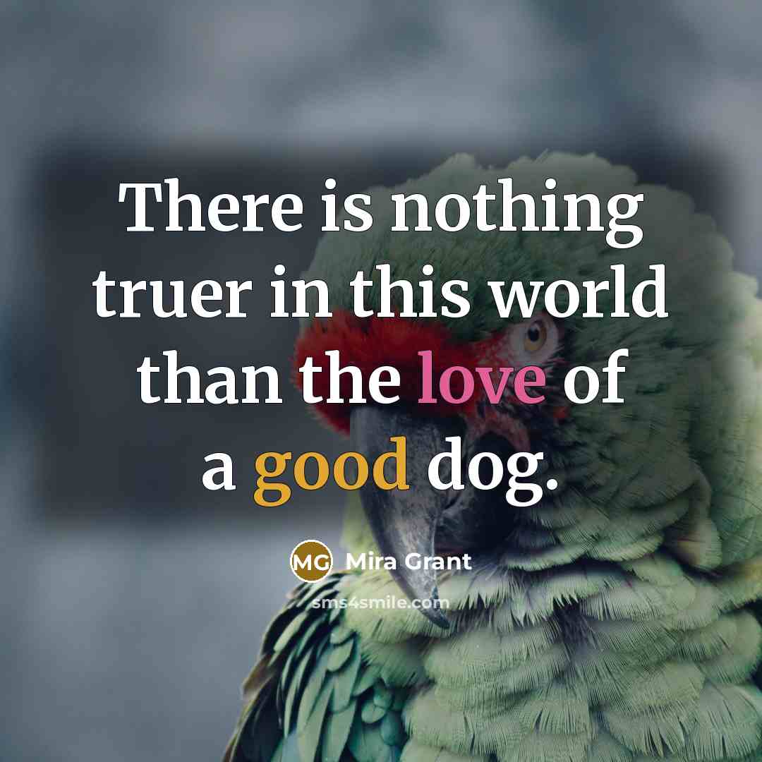 “There is nothing truer in this world than the love of a good dog.” quote by Mira Grant