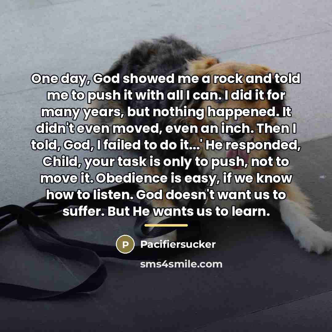 “One day, God showed me a rock and told me…” quote by Pacifiersucker