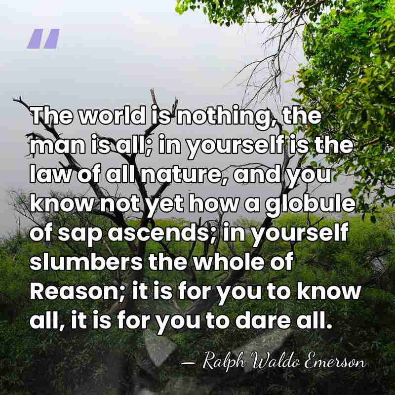 The world is nothing, the man is all; in yourself is the&hellip; - Ralph Waldo Emerson
