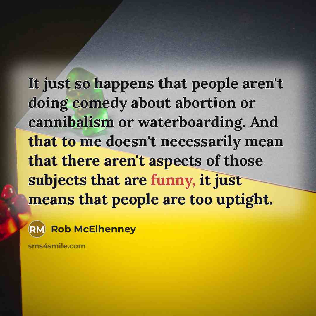 “It just so happens that people aren't doing comedy about…” quote by Rob McElhenney
