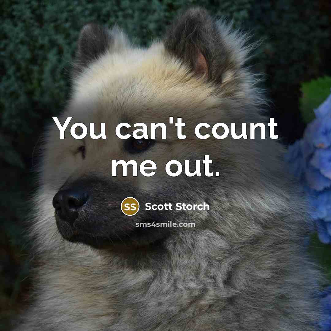 “You can't count me out.…” quote by Scott Storch