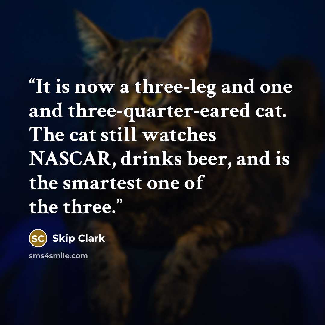 “It is now a three-leg and one and three-quarter-eared cat. The cat still watches NASCAR, drinks beer, and is the smartest one of the three.” quote by Skip Clark