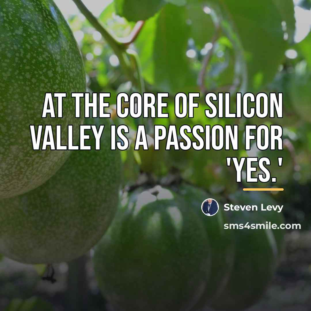 “At the core of Silicon Valley is a passion for…” quote by Steven Levy