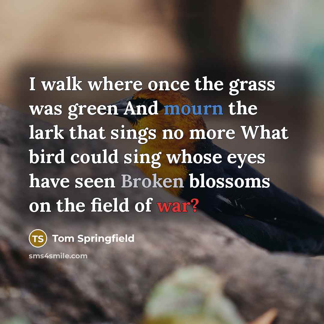 “I walk where once the grass was green And mourn…” quote by Tom Springfield