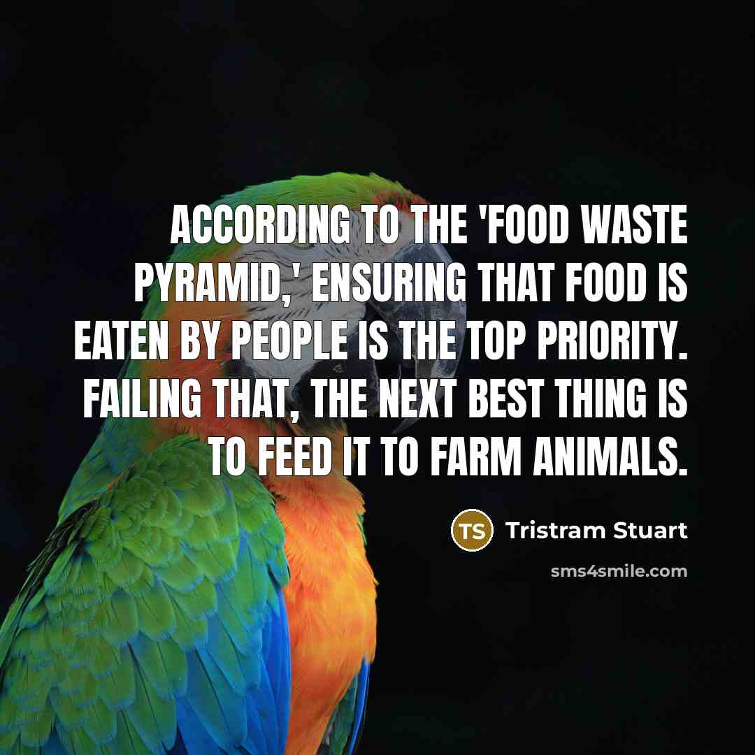 “According to the 'food waste pyramid,' ensuring that food is…” quote by Tristram Stuart
