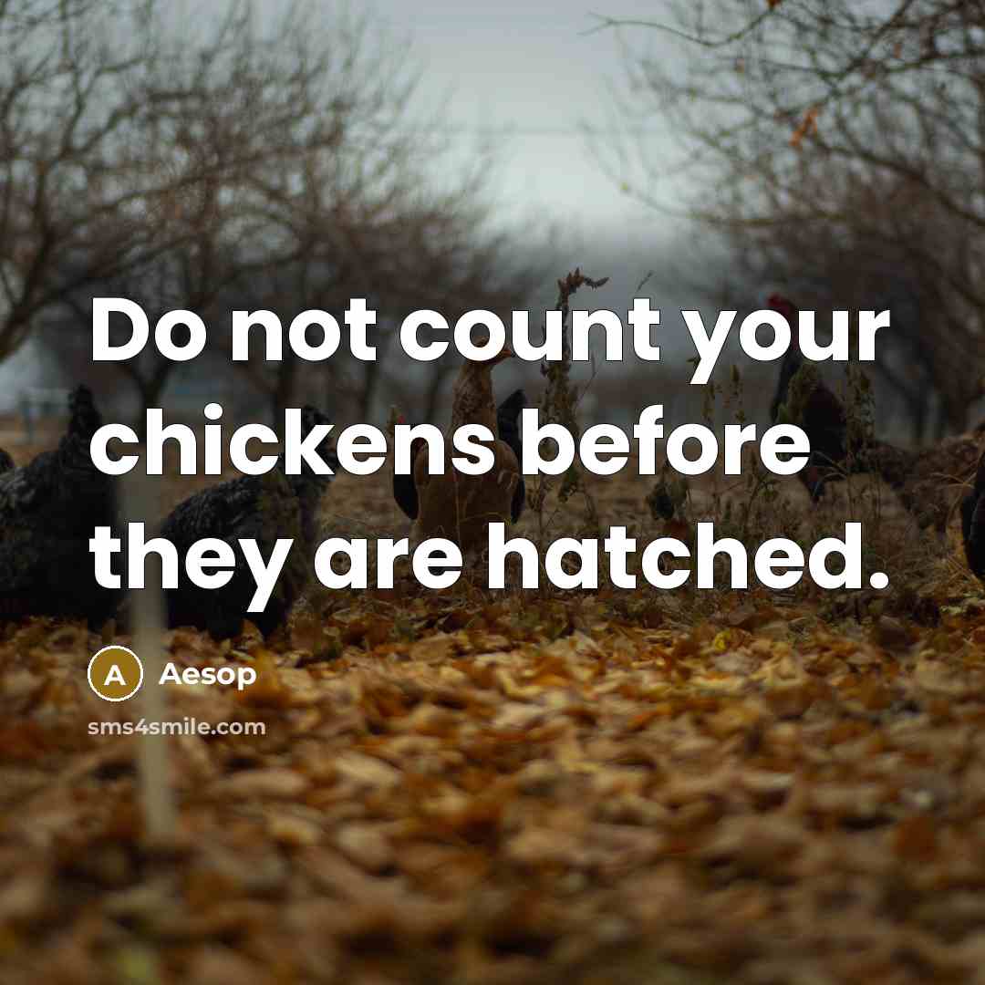 “Do not count your chickens before they are hatched.” quote by Aesop