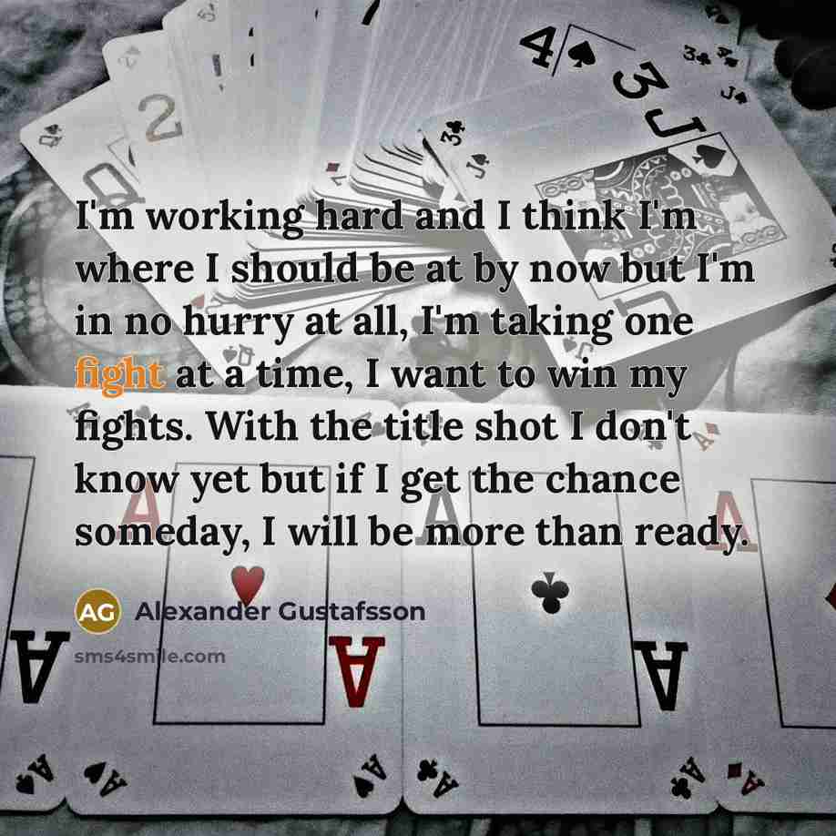 “I'm working hard and I think I'm where I should…” quote by Alexander Gustafsson