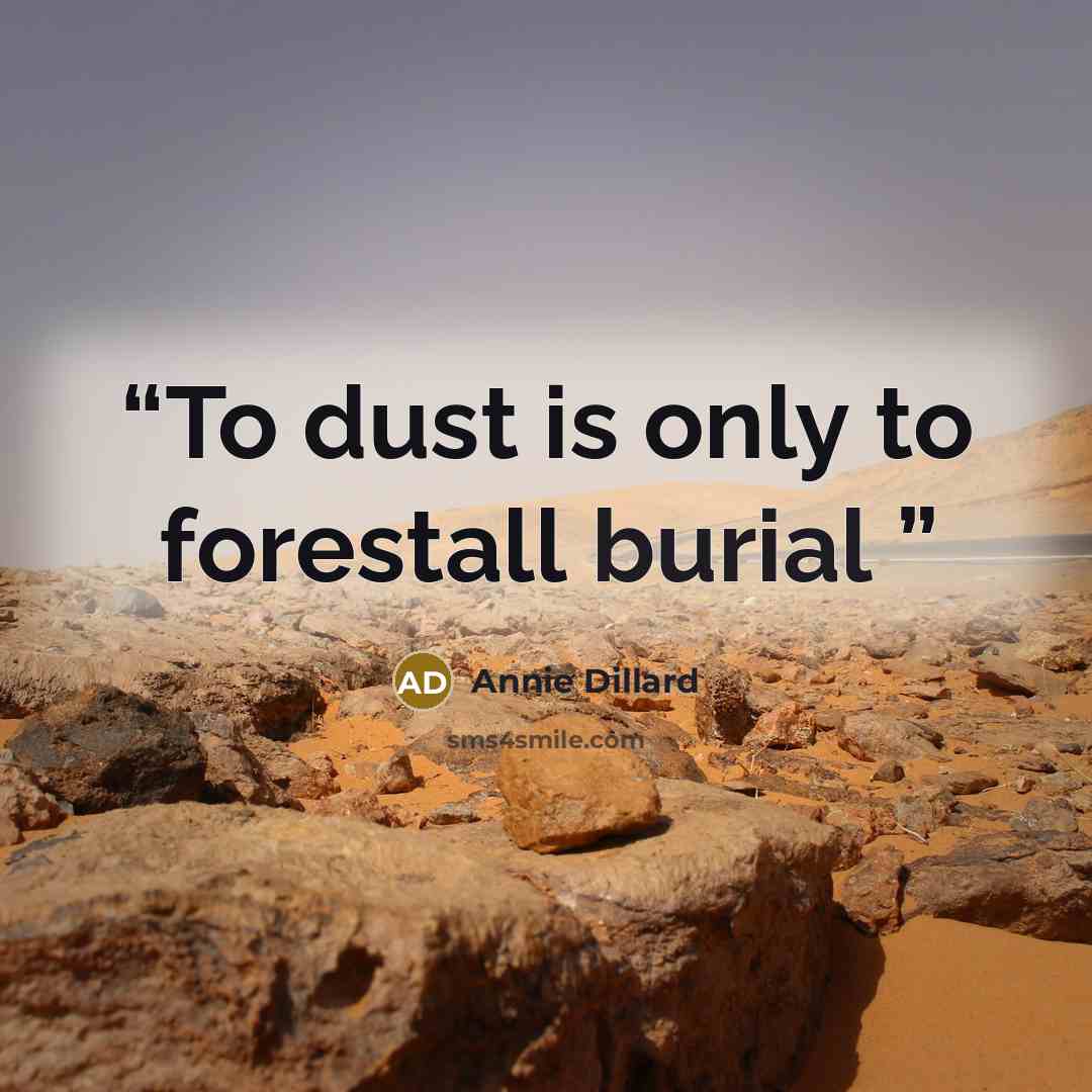 “To dust is only to forestall burial” quote by Annie Dillard