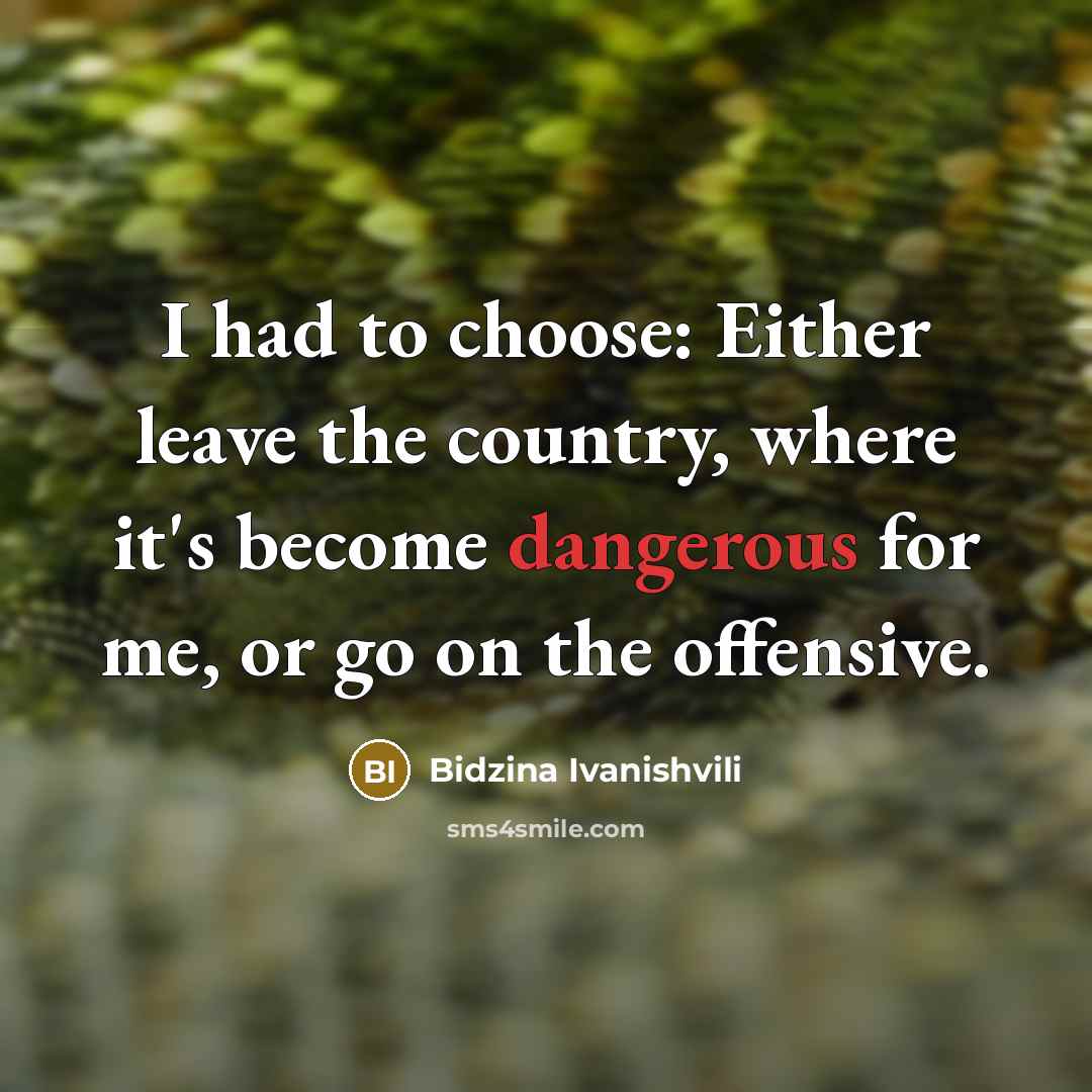 “I had to choose: Either leave the country, where it's become dangerous for me, or go on the offensive.” quote by Bidzina Ivanishvili