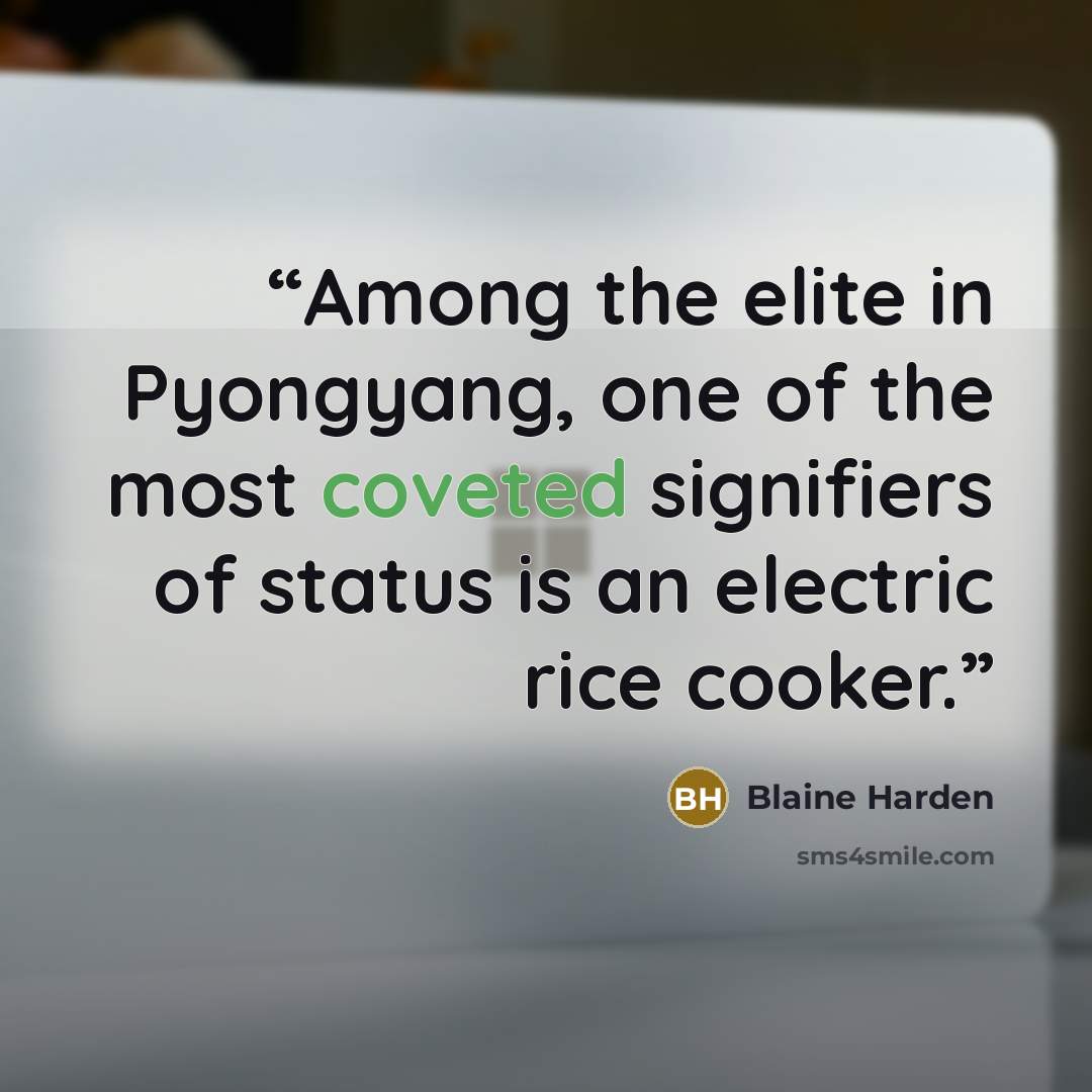 “Among the elite in Pyongyang, one of the most coveted signifiers of status is an electric rice cooker.” quote by Blaine Harden