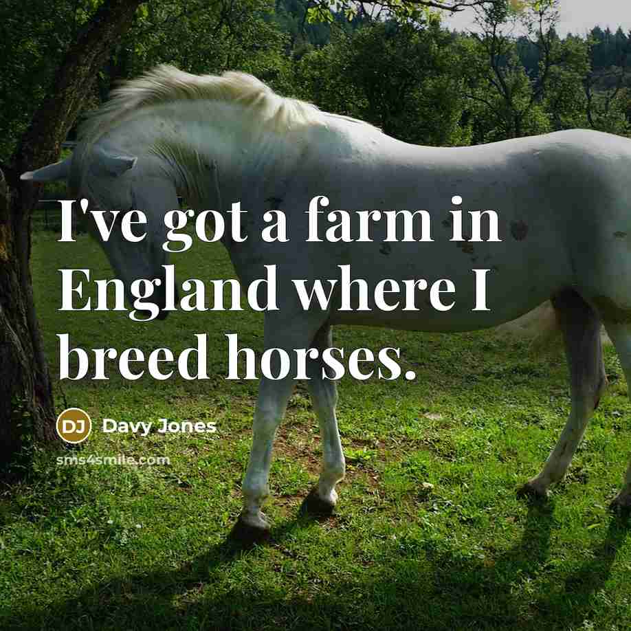“I've got a farm in England where I breed horses.…” quote by Davy Jones