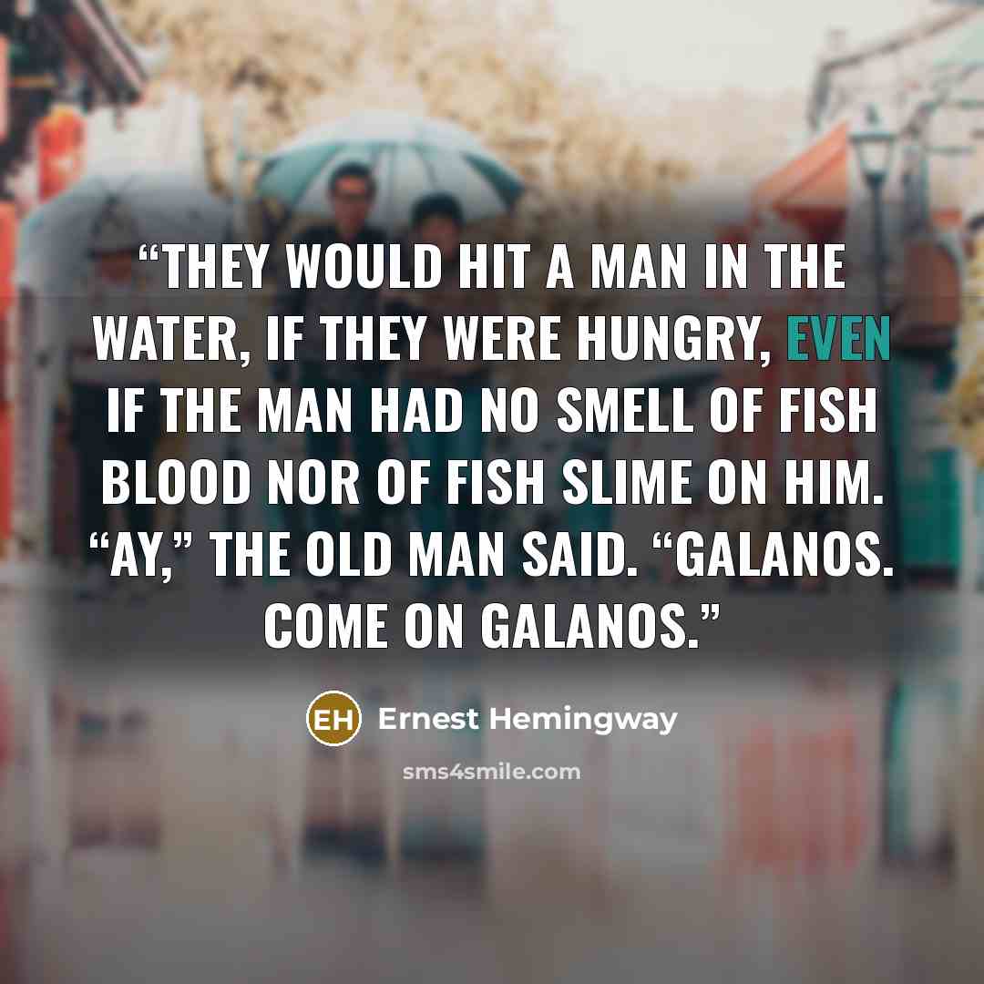 “They would hit a man in the water, if they were hungry, even if the man had no smell of fish blood nor of fish slime on him. “Ay,” the old man said. “Galanos. Come on galanos.” quote by Ernest Hemingway