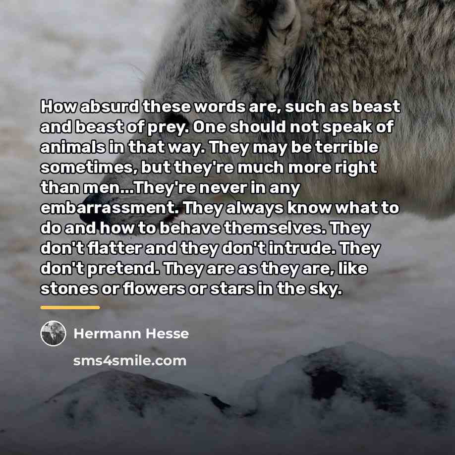 “How absurd these words are, such as beast and beast…” quote by Hermann Hesse