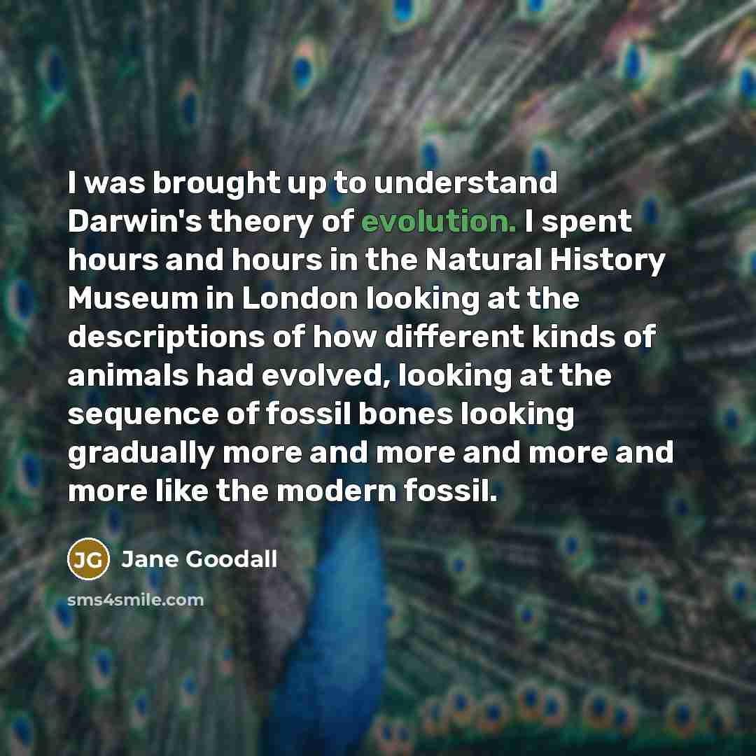 “I was brought up to understand Darwin's theory of evolution.…” quote by Jane Goodall